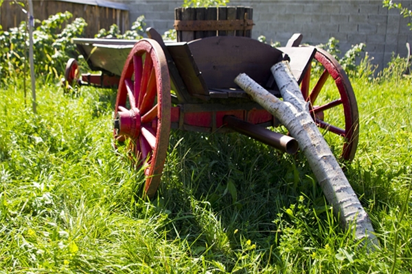 夢見父親推車的預兆_周公解夢