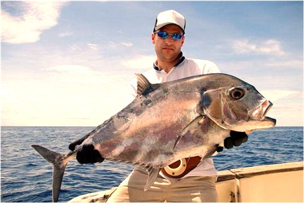 夢到了好久不聯繫的藍顏知己預兆了什麼嗎_周公解夢官網