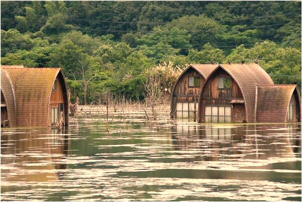 夢到發水但是水是飲料水可以喝會是什麼預兆_周公解夢官網