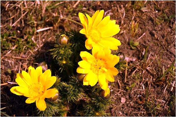 夢到女人天變黃有何寓意_周公解夢官網