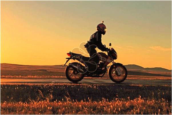 夢見同學砍大樹壓屋頂會是什麼預兆_周公解夢官網