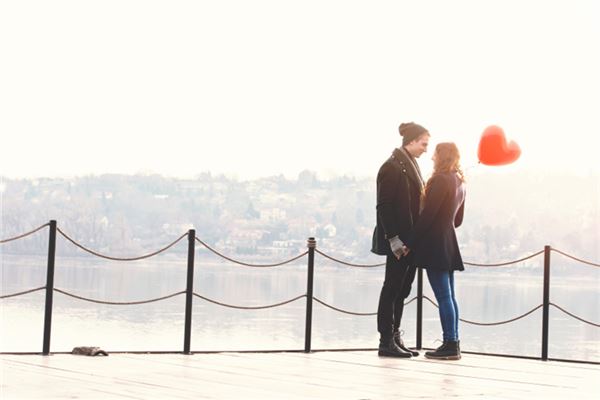 97年牛男和什麼最配_十二生肖