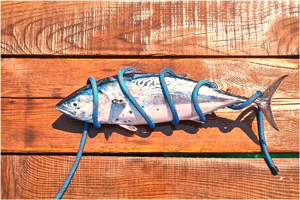 夢到看見前夫母親餵孩子吃飯有什麼說法_周公解夢官網