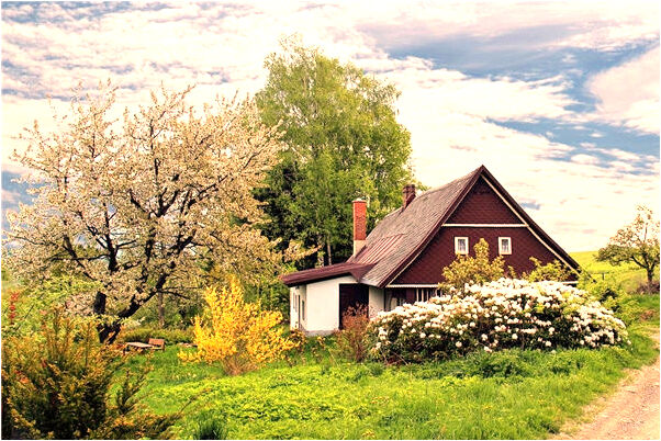 夢到自己偷金筆有什麼徵兆_周公解夢官網