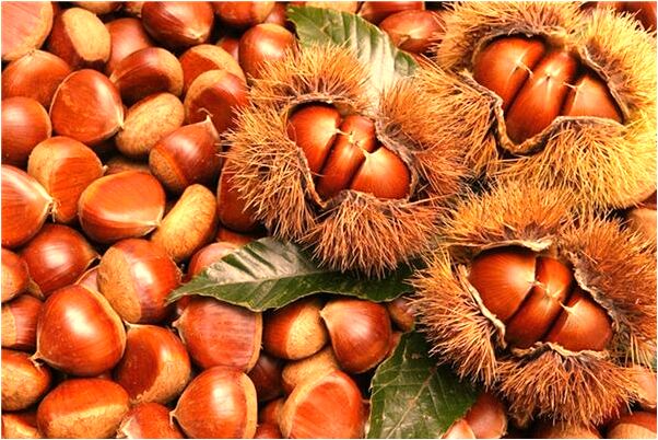 夢到了已故的舅舅回家是什麼兆頭_周公解夢官網