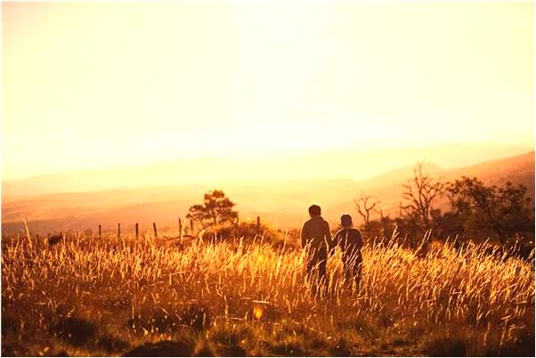 夢到了撿了一輛貨車代表什麼_周公解夢官網