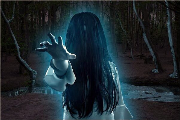 夢到了大黑母豬追我但沒追到是咋回事_周公解夢官網