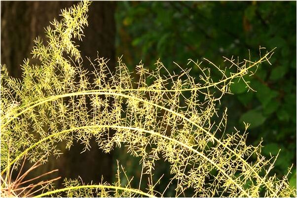 夢到和表哥手拉手走在路上有什麼意義嗎_周公解夢官網