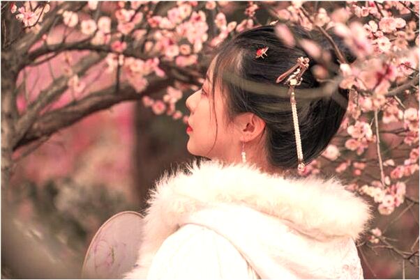 夢到了拿雞樅是凶兆還是吉兆_周公解夢官網