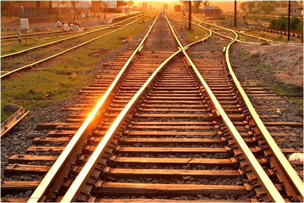 夢到我拿剪刀殺死兩隻貓是好的徵兆嗎_周公解夢官網