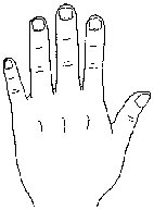 Hand shape