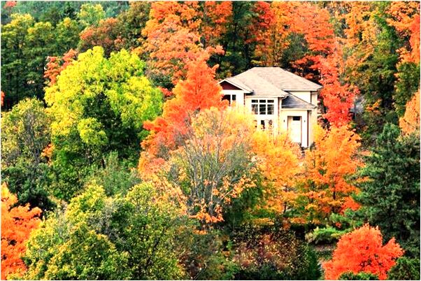 夢到了自己嫁人了看不見新郎有什麼預示嗎_周公解夢官網