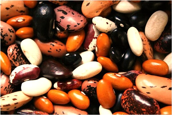 夢到女人長男性生殖器官有什麼意思嗎_周公解夢官網