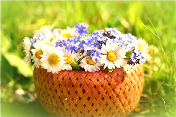 夢到朋友向我借保險套是咋回事_周公解夢官網