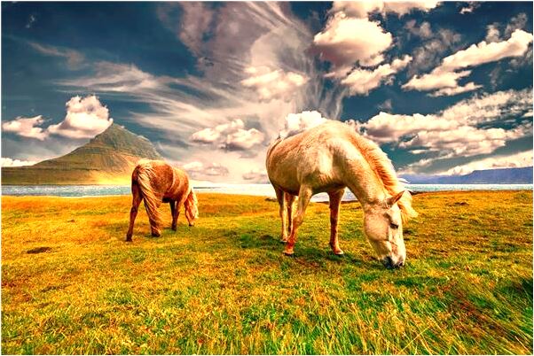 夢到了自己洗頭水很清是什麼徵兆_周公解夢官網