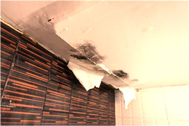 夢到了自己抓了很多魚有什麼寓意嗎?_周公解夢官網