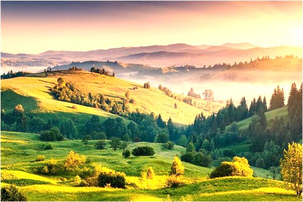 夢到了恆大輸了是咋回事_周公解夢官網