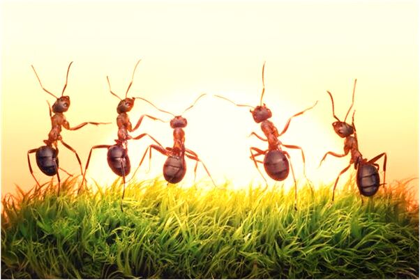 夢到了浸在尿中有什麼意思_周公解夢官網