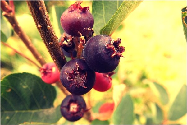 夢到了錢變成洋錢票是好是壞_周公解夢官網