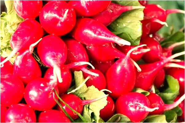 夢到大蛇掐身是凶兆還是吉兆_周公解夢官網