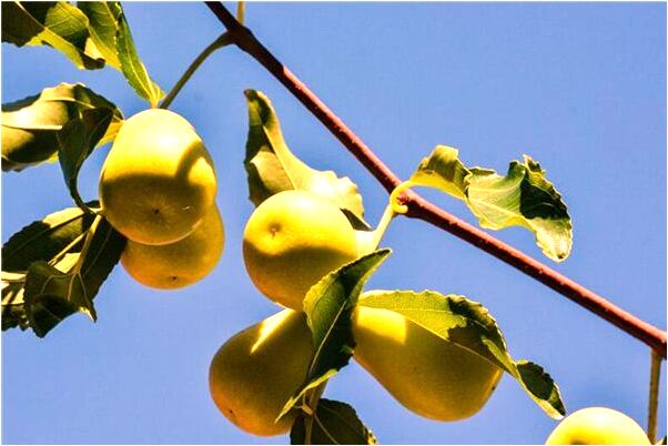 夢到了哥哥殺人後又見前女友是什麼意思_周公解夢官網