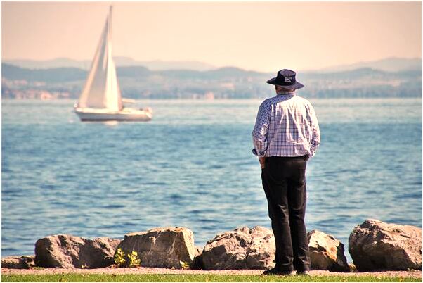 夢見麻雀飛身預示什麼_周公解夢官網