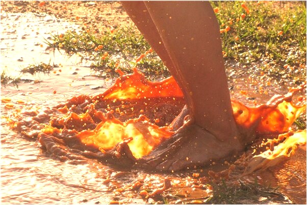 夢到了三條狗和火車相撞會怎么樣_周公解夢官網