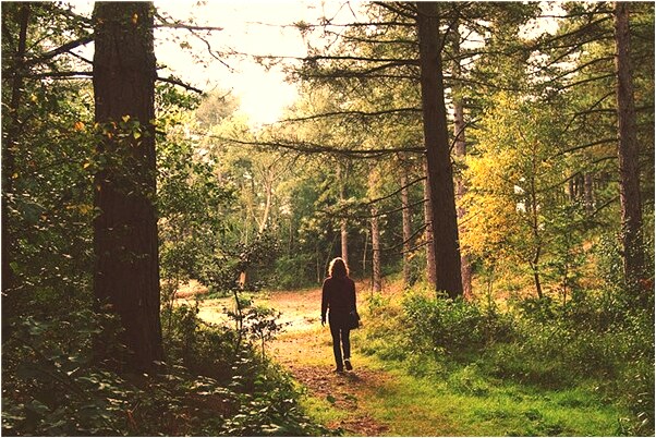 夢到別人取了我的錢什麼預兆_周公解夢官網