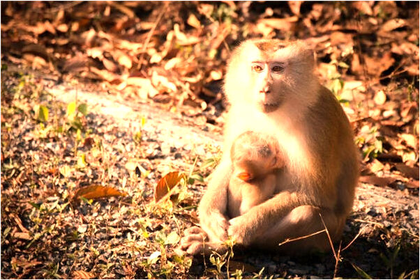 夢到自己在河裡被水淹怎么說_周公解夢官網