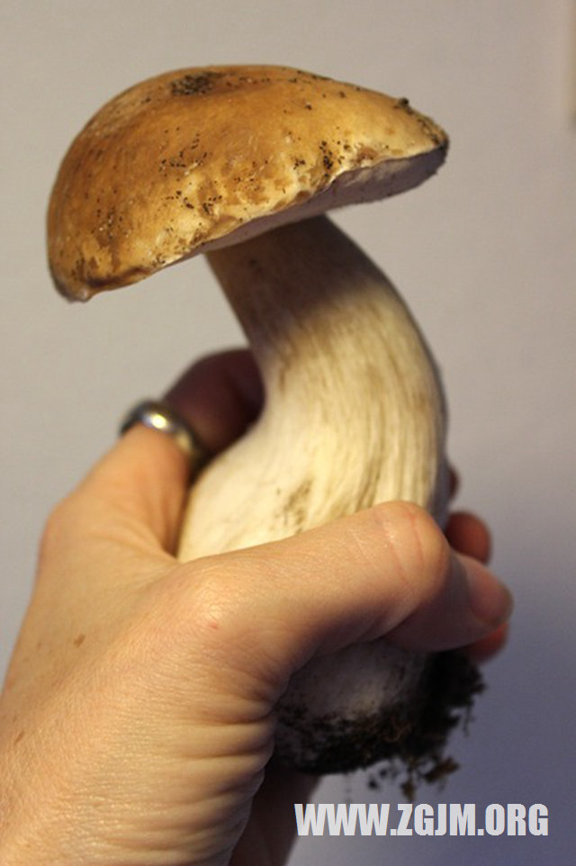 夢見老公偷人_周公解夢夢到老公偷人是什麼意思_做夢夢見老公偷人好不好_周公解夢官網