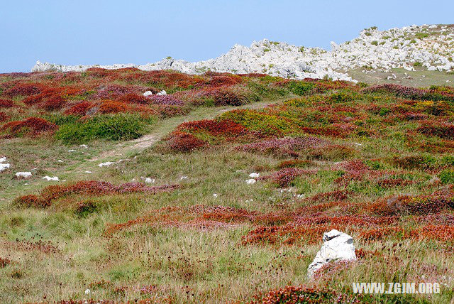 夢見死去親人並對話_周公解夢夢到死去親人並對話是什麼意思_做夢夢見死去親人並對話好不好_周公解夢官網