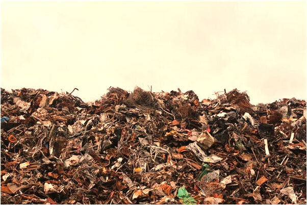 夢到水裡好多小蛇是什麼預兆？_周公解夢官網