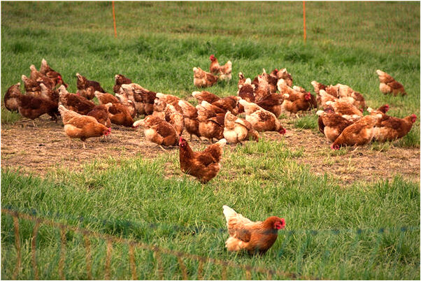 夢到死去的父親和別人交合是好的徵兆嗎_周公解夢官網