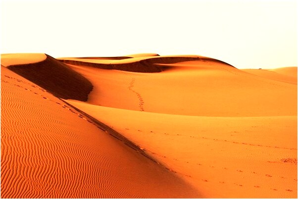 夢到了自己長指甲會有什麼預兆_周公解夢官網