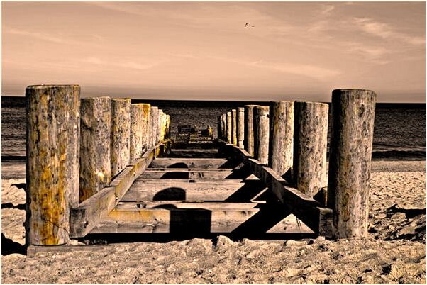 夢到青色兔子跳躍劃破右手是什麼徵兆_周公解夢官網