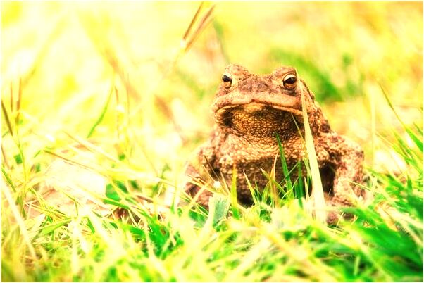 夢到夢跟爸爸吵架有什麼預示嗎_周公解夢官網