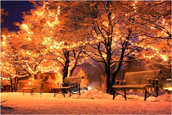 夢到抓得野鴨送給別人有什麼預兆_周公解夢官網