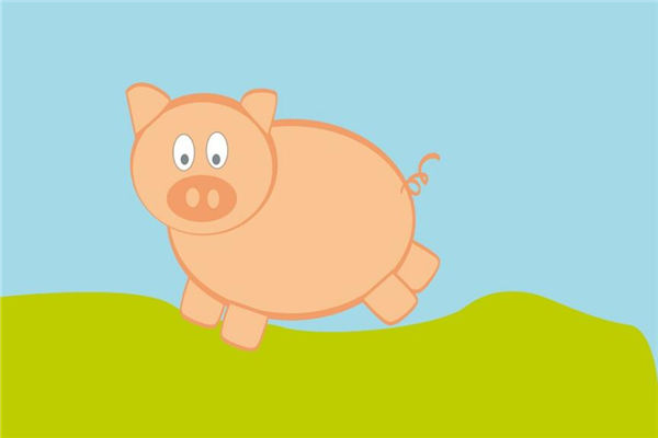 屬豬的在2021年多大歲數呢_十二生肖