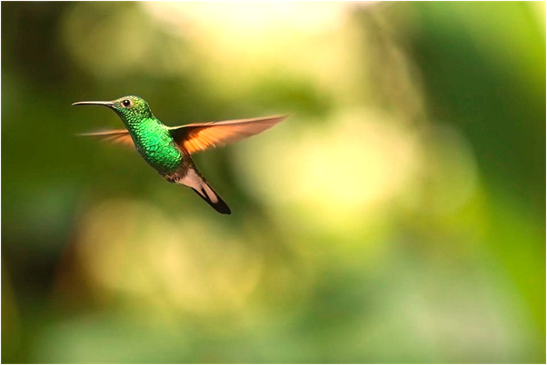 夢到老公給我四千塊是吉兆嗎?_周公解夢官網