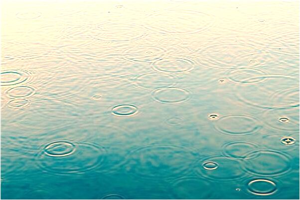 夢見跳進了馬桶預示什麼_周公解夢官網