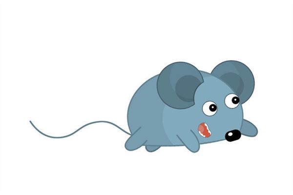 1972年鼠2020年的命運_十二生肖