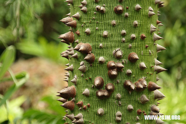 夢見鞋子濕了_周公解夢夢到鞋子濕了是什麼意思_做夢夢見鞋子濕了好不好_周公解夢官網