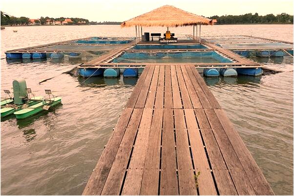 夢到了把傷害我的人推下梯子會是什麼預兆_周公解夢官網