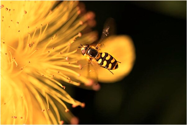 夢見樓梯塌了有什麼徵兆_周公解夢官網