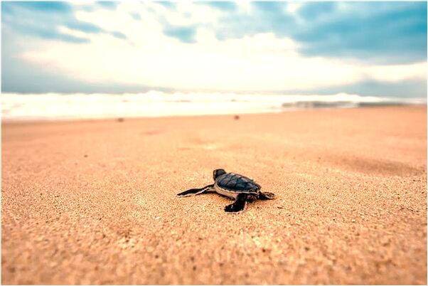 夢到了媽媽被好多人追打是好的徵兆嗎_周公解夢官網
