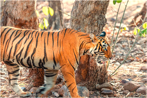 夢見同學成績比我差預示什麼_周公解夢官網