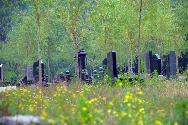 夢到墳_周公解夢