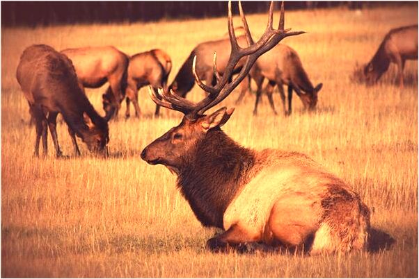 夢到了撿到只鞋怎么樣_周公解夢官網