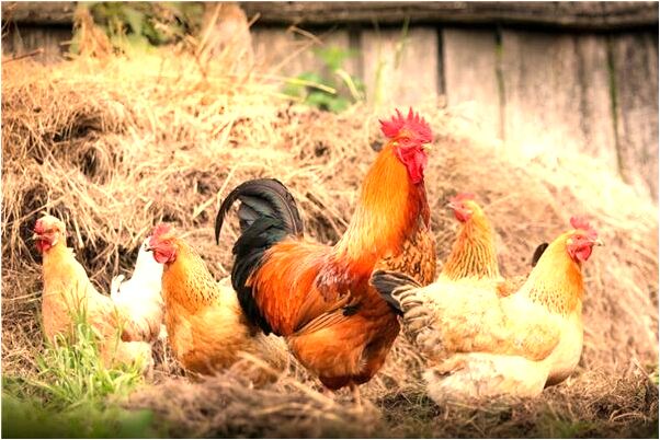 夢見玻璃瓶碎了扎手怎么說_周公解夢官網