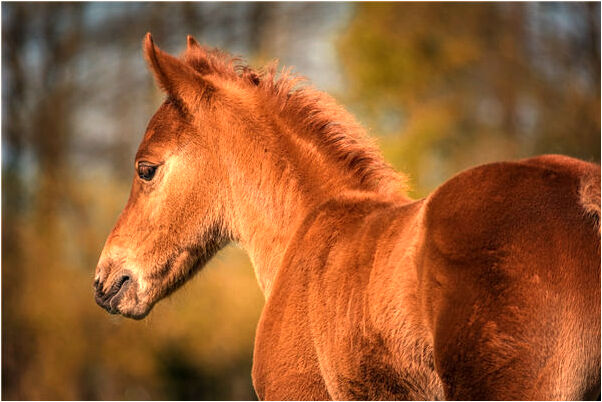 夢到中午下雨什麼預兆_周公解夢官網